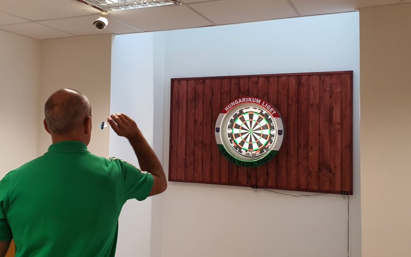 Darts