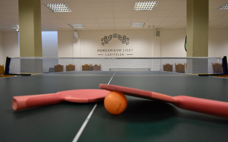 Pinpong a Hotel Club Tiszában
