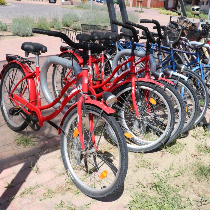 Bike Rental